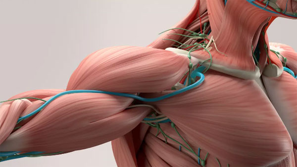 Was ist Thoracic-outlet-Syndrom (Thoraxausgangssyndrom)